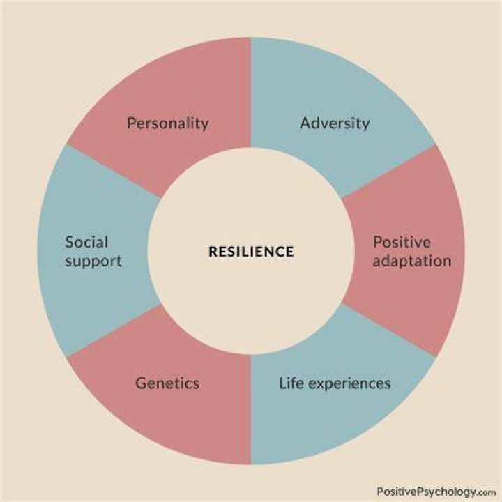 Discoveries And Insights For Healing And Resilience