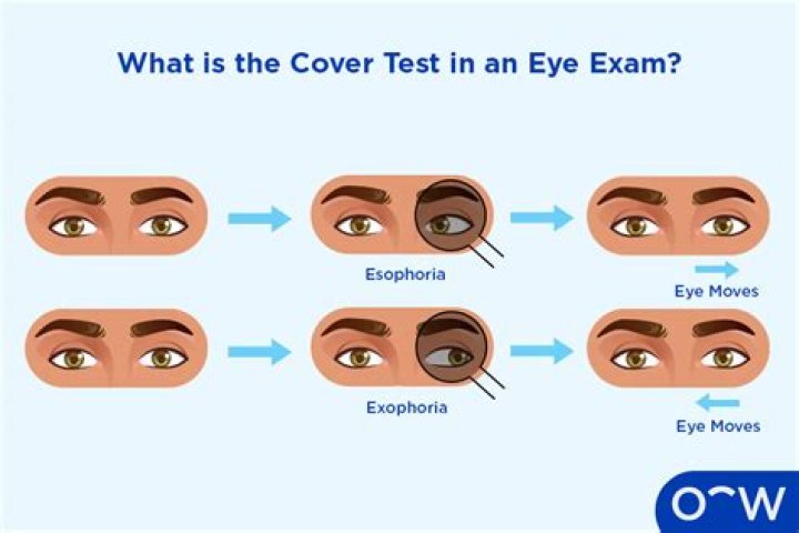 Uncover The When And Why